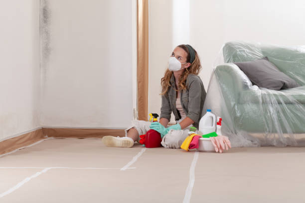 Reliable Commercial Mold Remediation contractor in Warrenville, IL by WQB Mold Removal