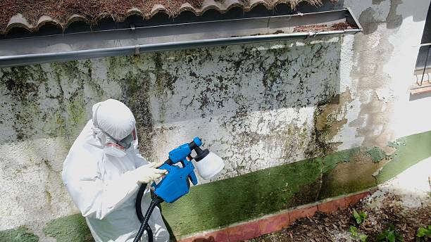 Top rated local Commercial Mold Remediation specialists in Warrenville, IL